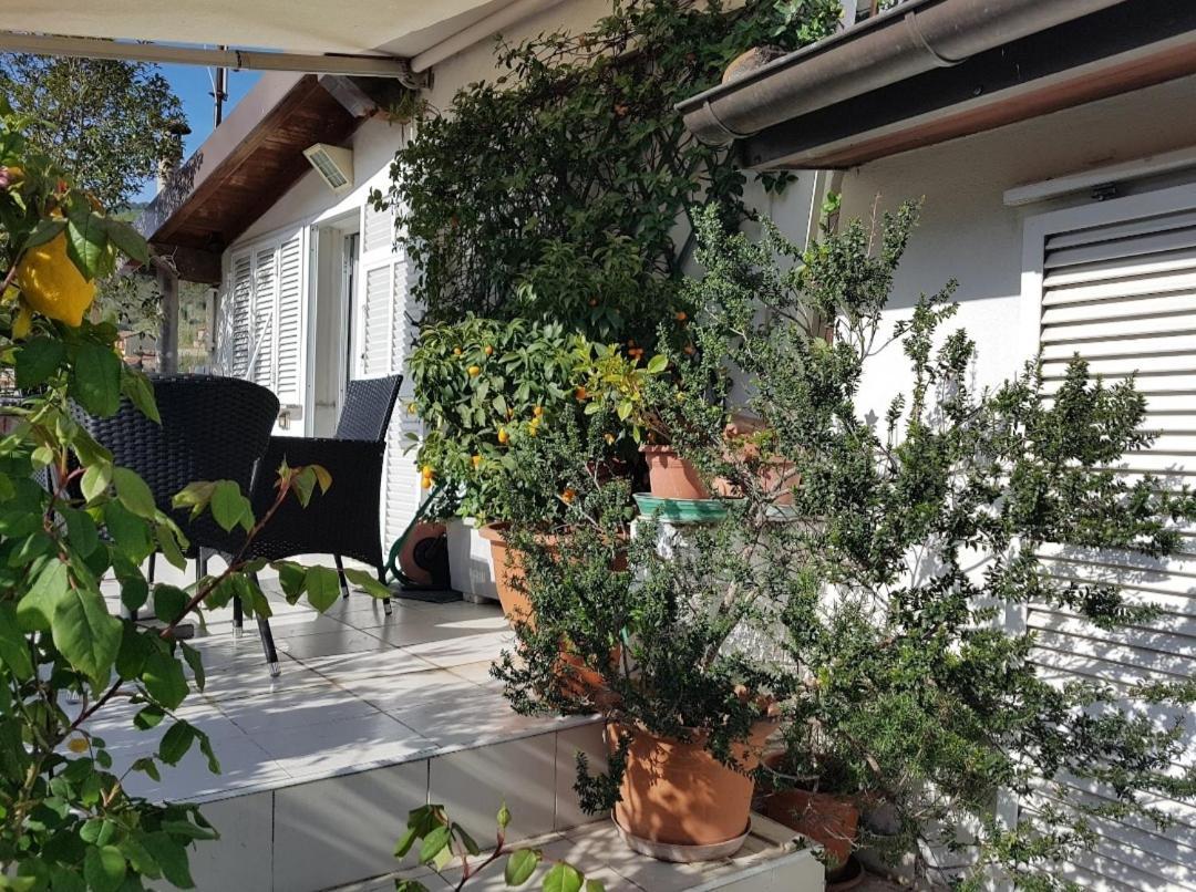 B&B Dei Doria & Suite Dolceacqua Eksteriør bilde